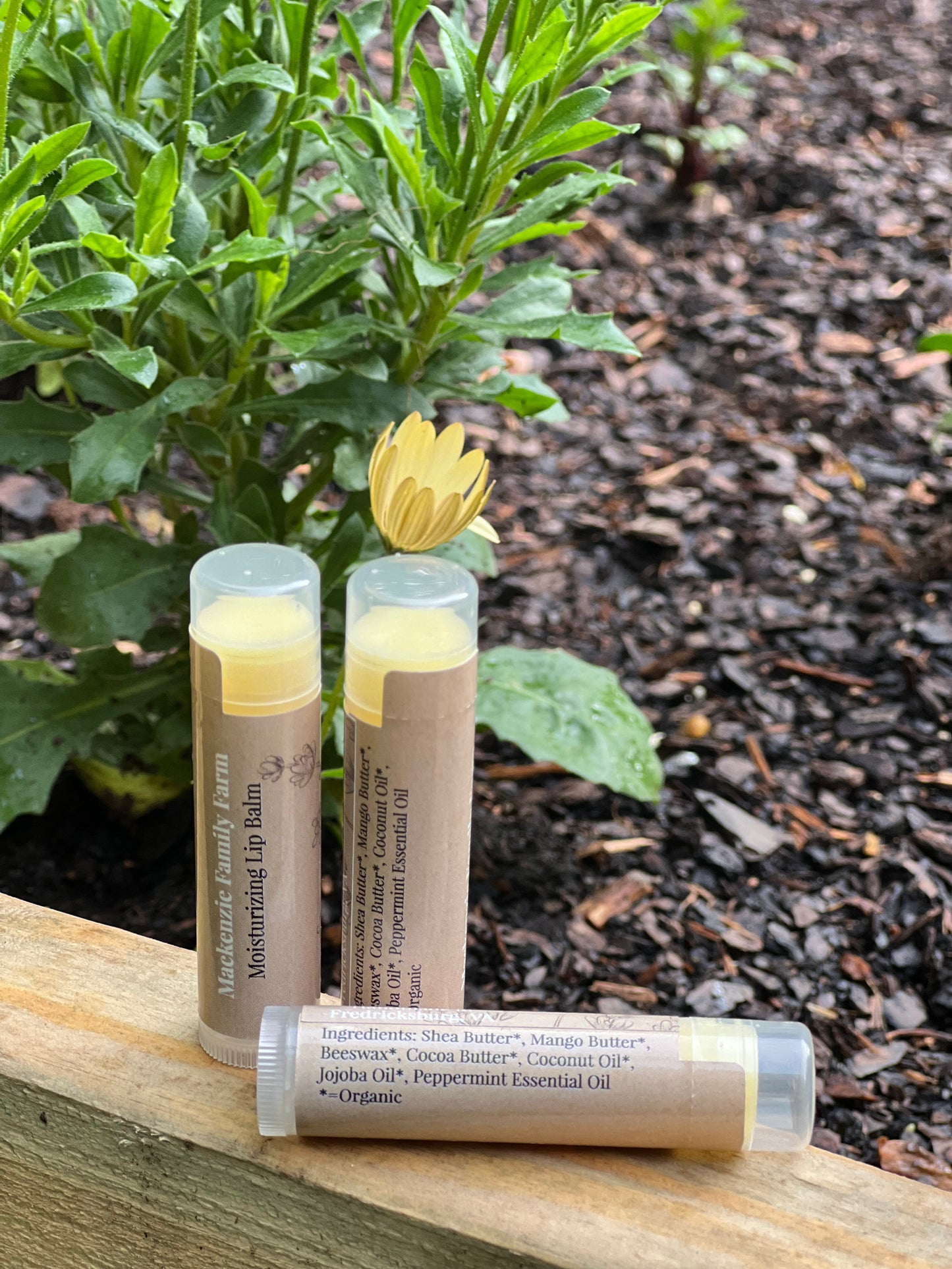Moisturizing Lip Balm