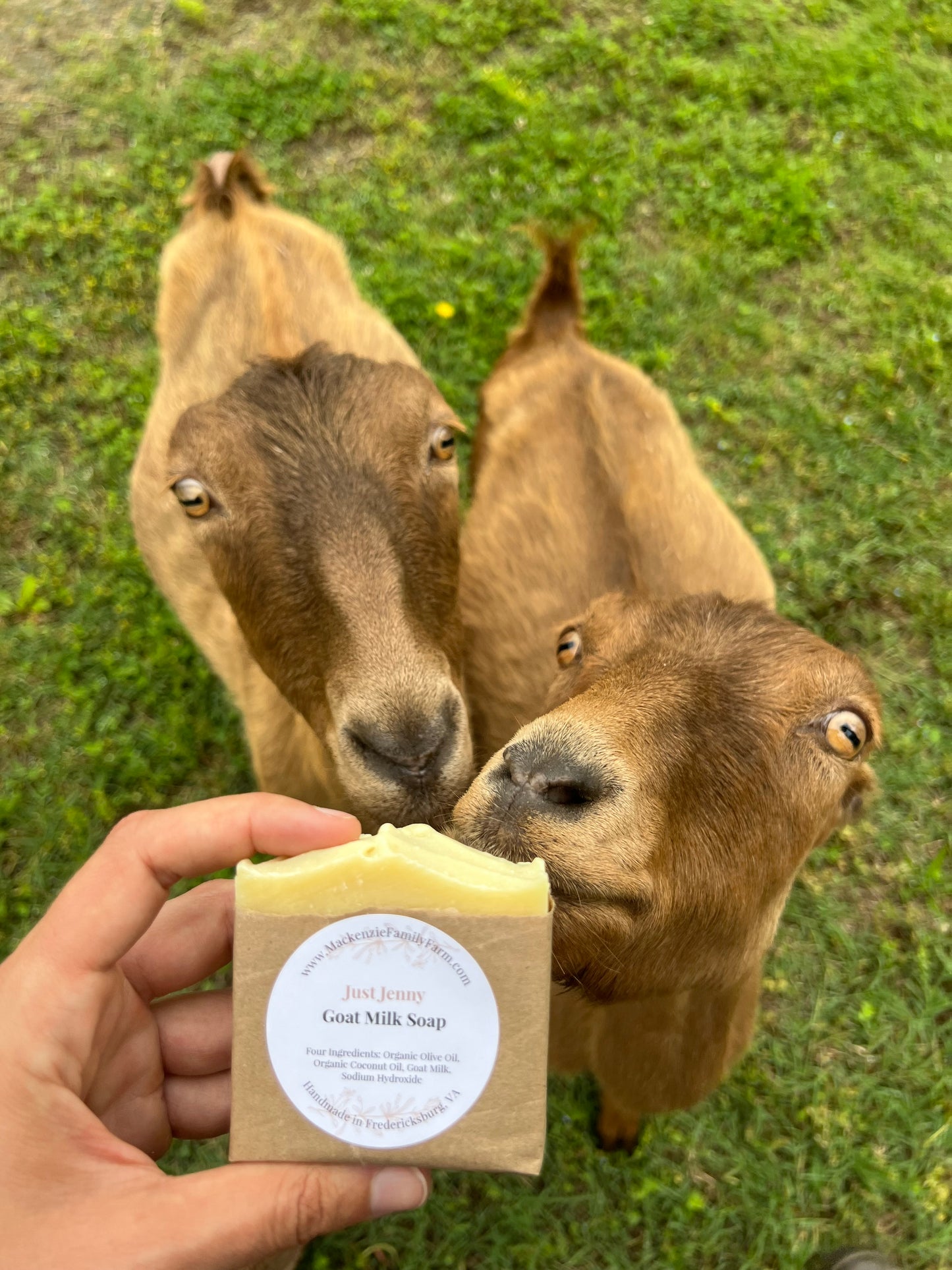 Original Goat Milk Soap