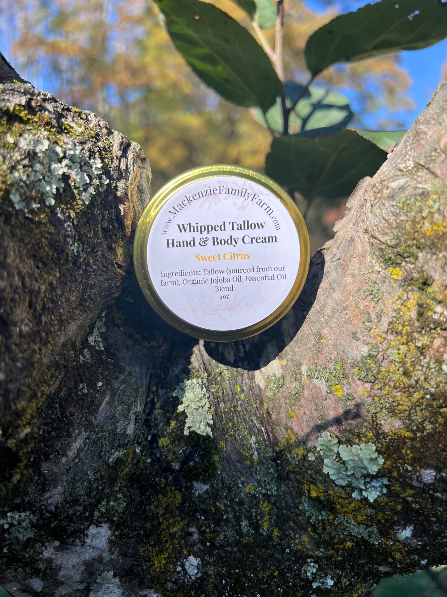 Tallow Hand & Body Cream