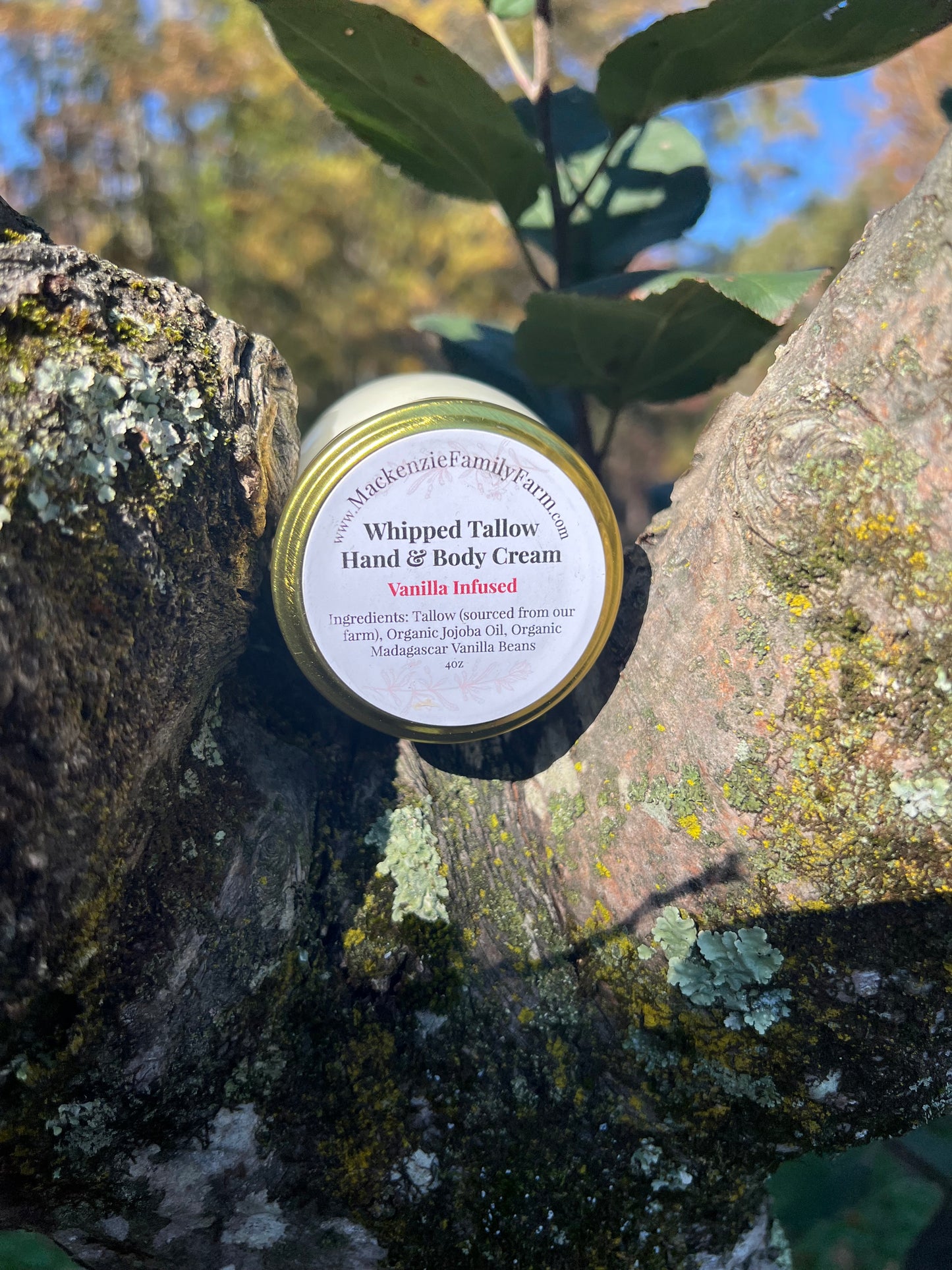 Tallow Hand & Body Cream