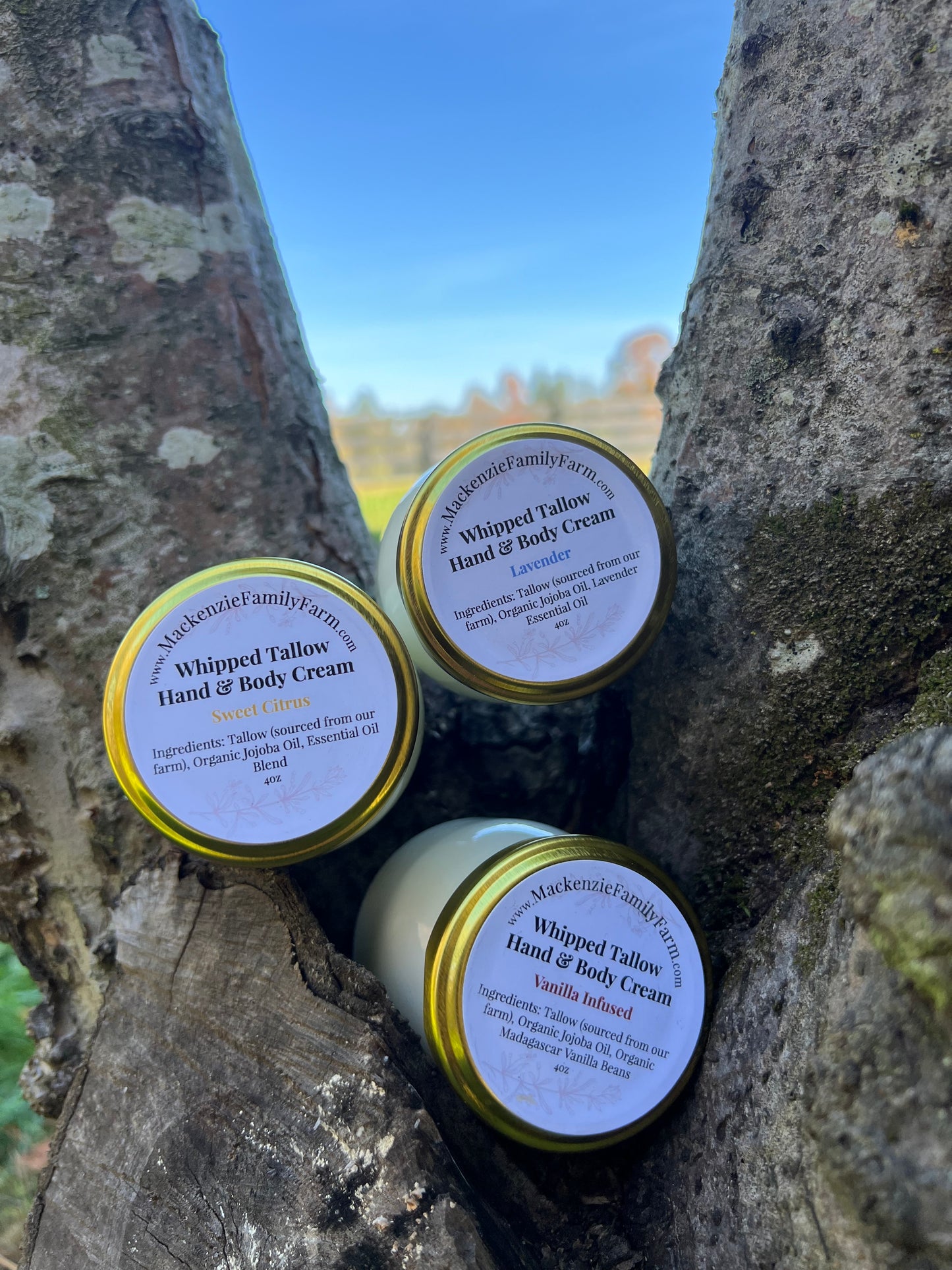 Tallow Hand & Body Cream