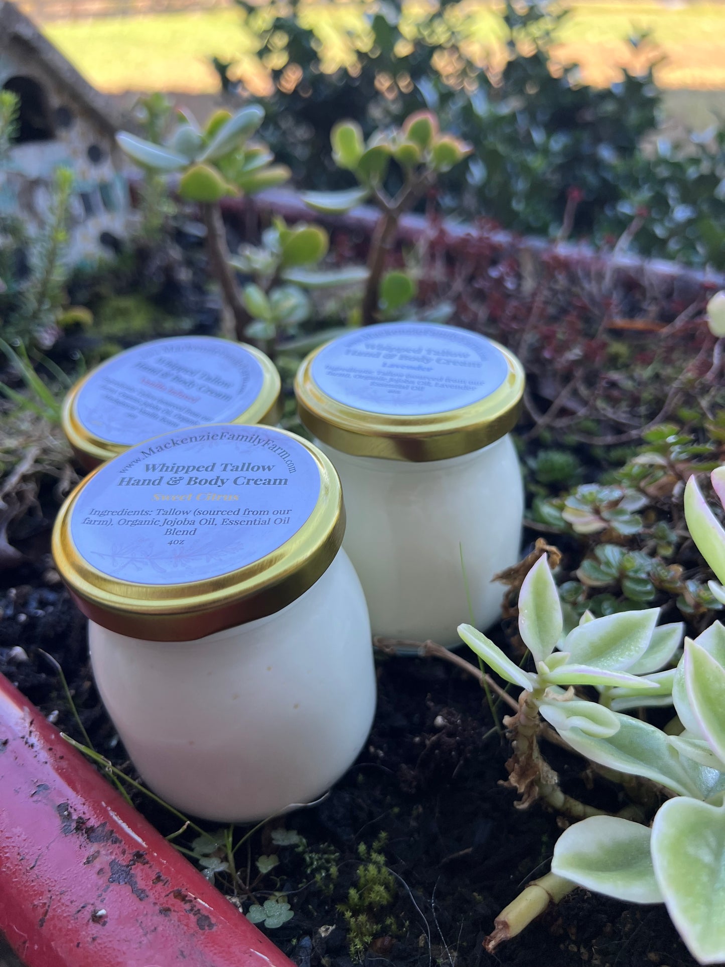 Tallow Hand & Body Cream